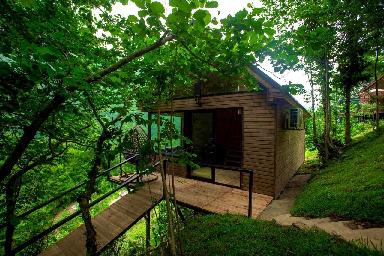 Woodpecker Ვუდფექერი Villa Batumi Exterior photo