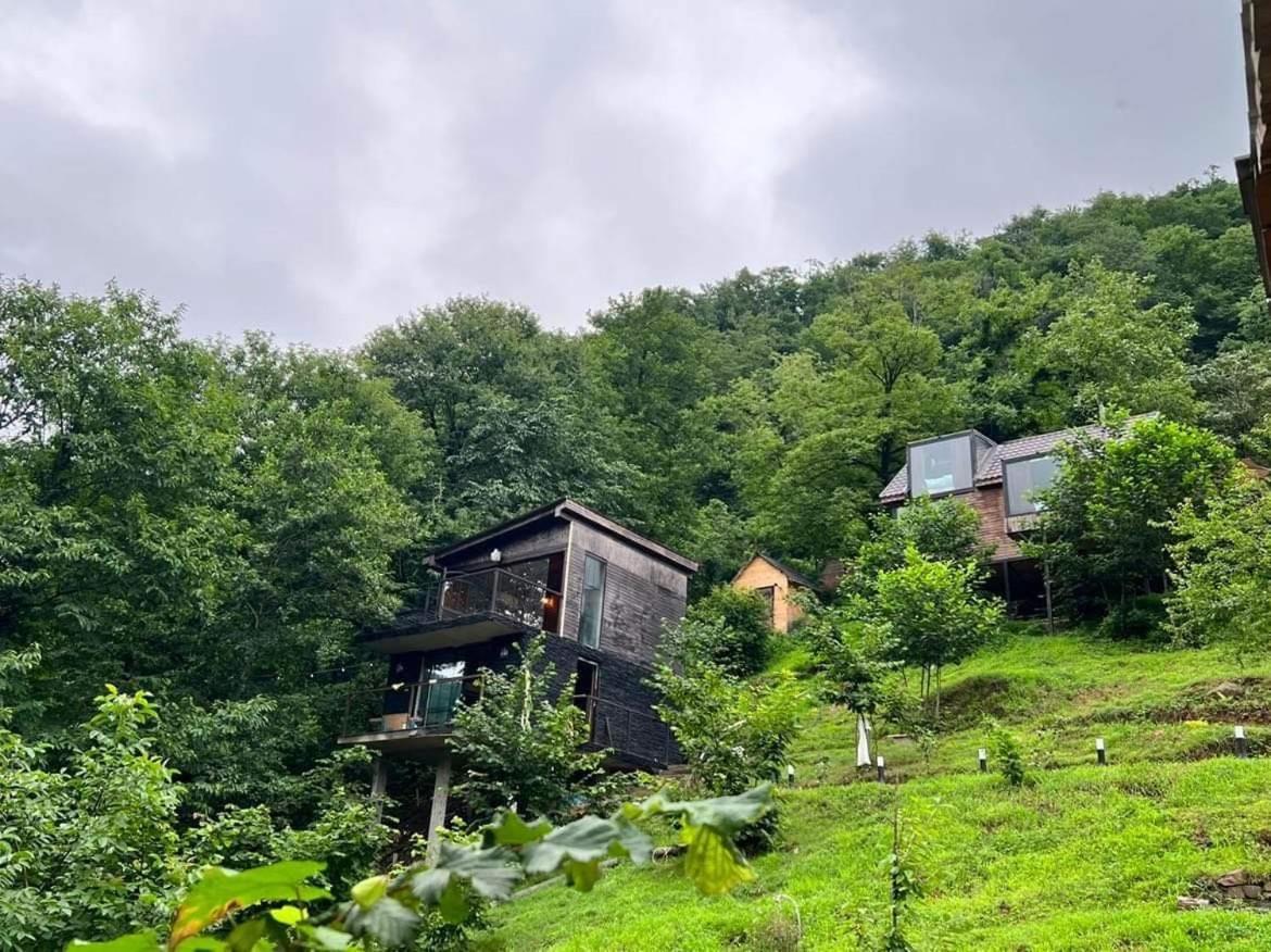 Woodpecker Ვუდფექერი Villa Batumi Exterior photo